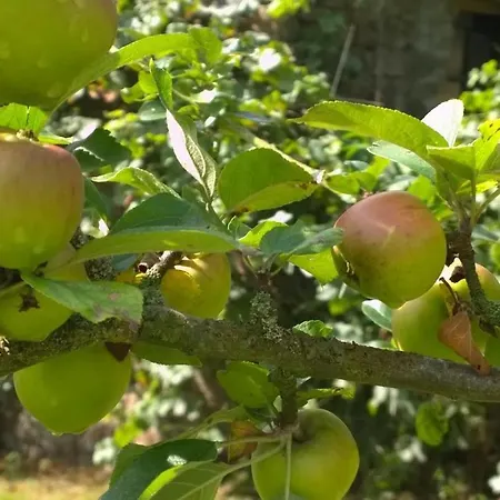 Casa de Férias Rouge And La Ferme Blanche Menil-Vin