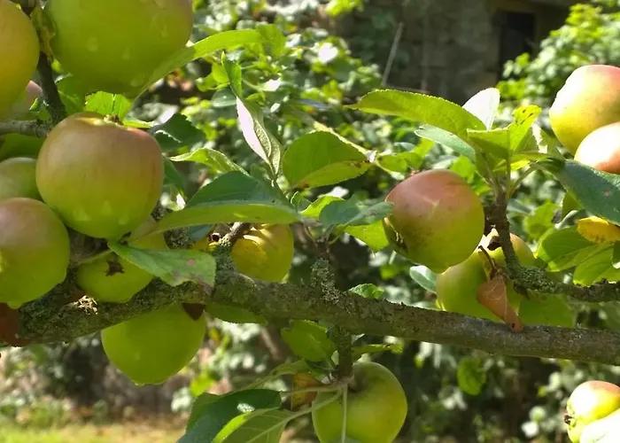 펜션 Rouge And La Ferme Blanche Menil-Vin